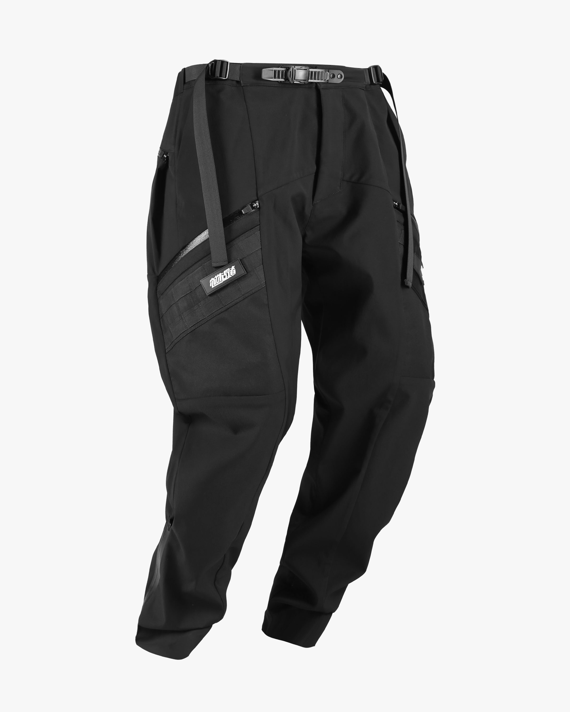 181 Water Repellent Cargo Pants